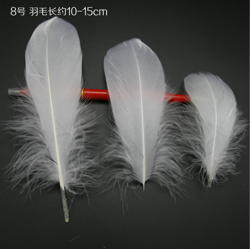 다피아오 약 50개