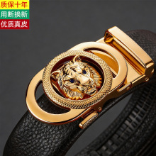 ���籬����ʿ�Զ���������Լ������ͷ����ƤƤ���п������belt