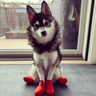 Same Style Dog Shoes Silicone Rain Boots Winter Teddy Pet Anti-foot Cover Cute Small Large Dog Anti-dirty