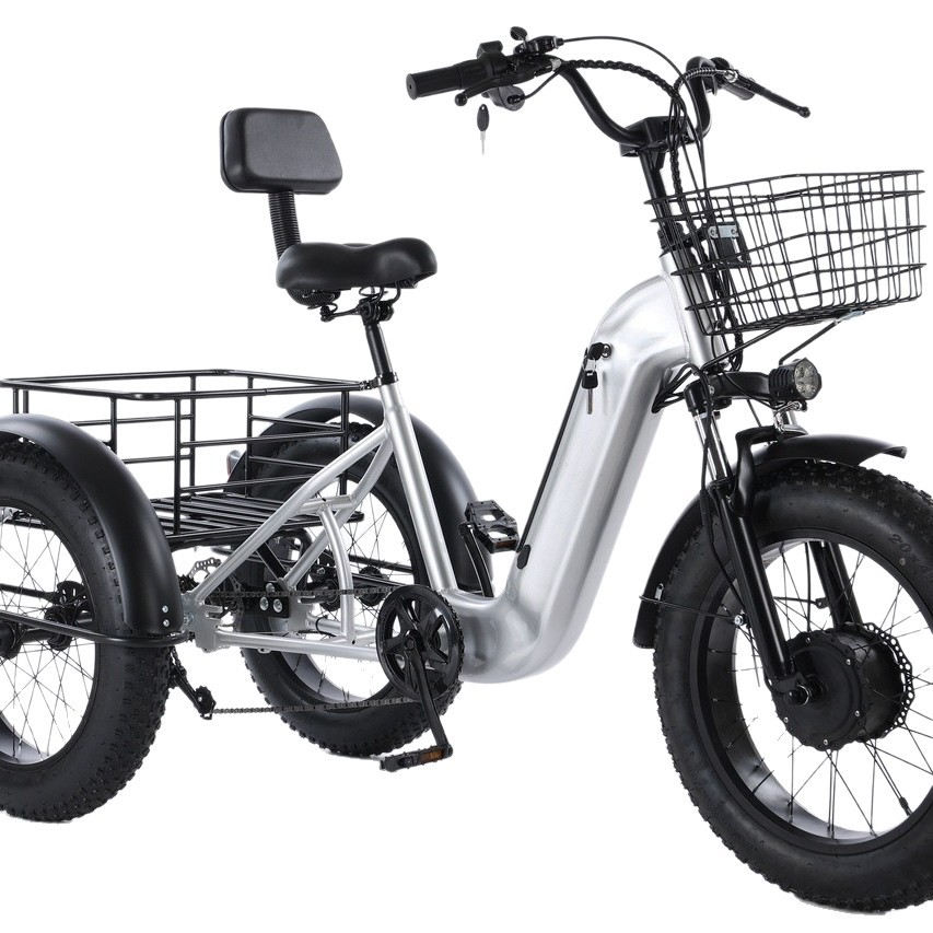 Электрический трехколесный велосипед Anhui Shuangliang Snow 24"