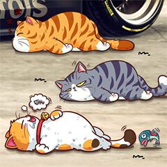 跨境temu卡通搞笑猫咪车贴宠物猫汽车贴纸个性躺平猫摩托车身贴