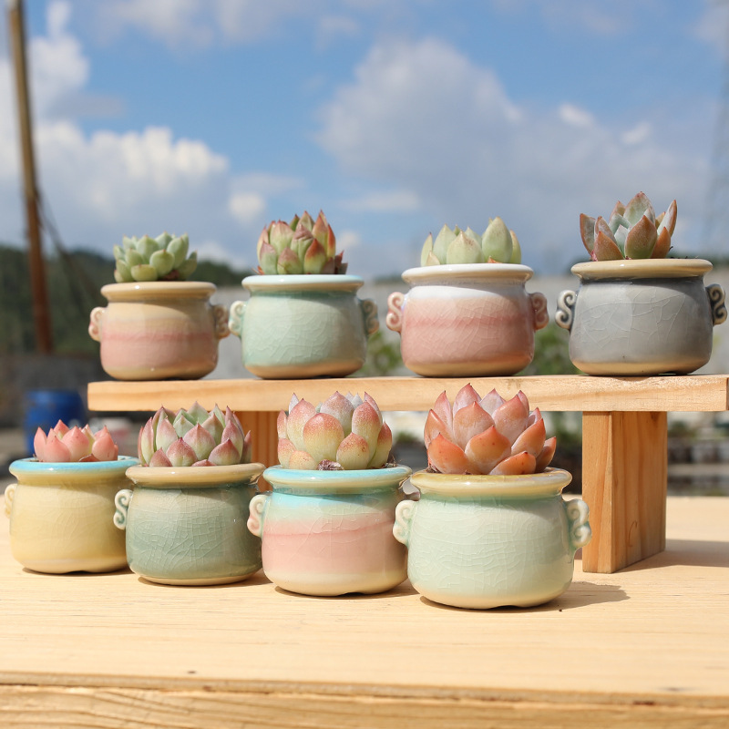 Succulent flower pot ceramic stoneware binaural breathable mini rainbow control personalized creative desktop thumb pot special offer
