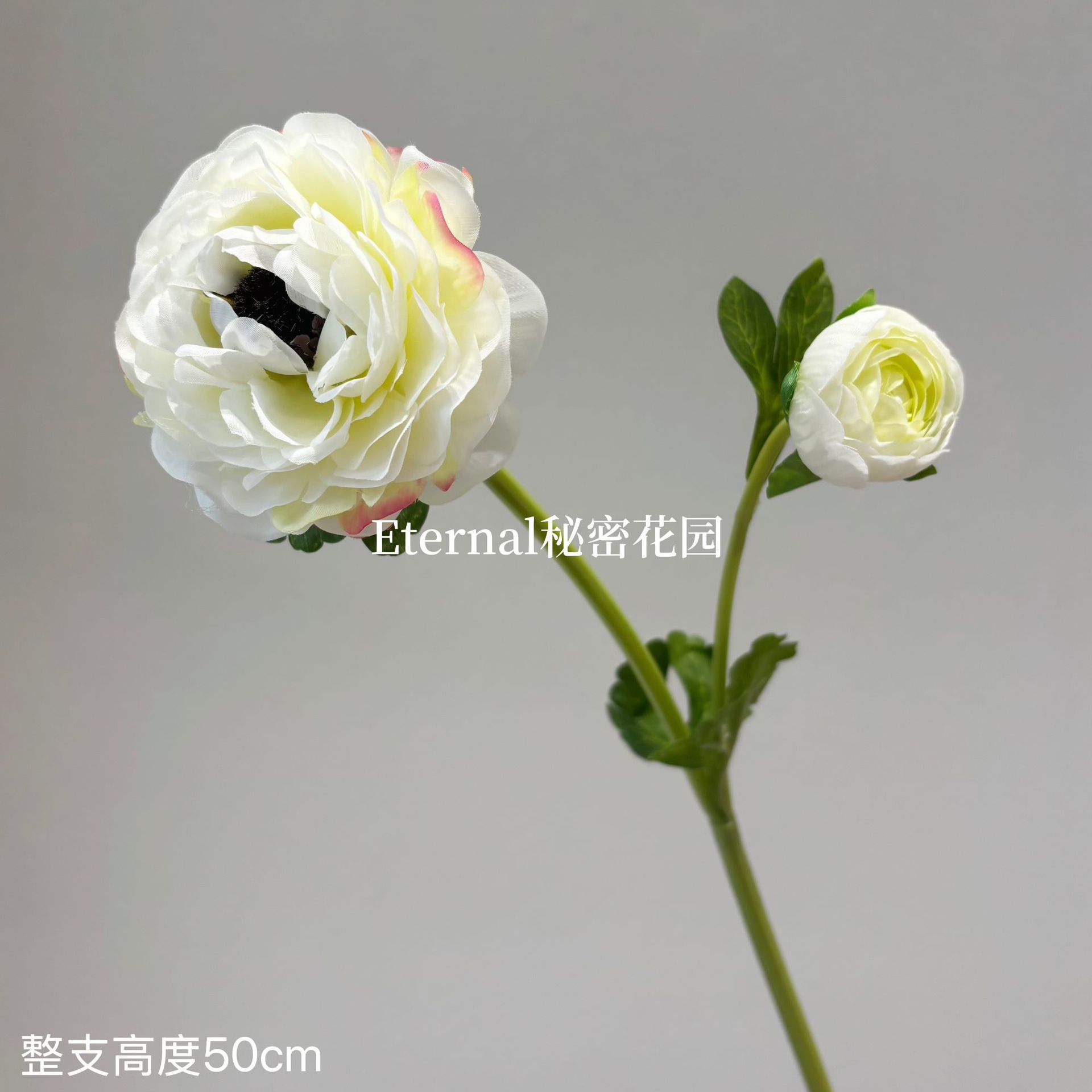2 머리 유화 연꽃