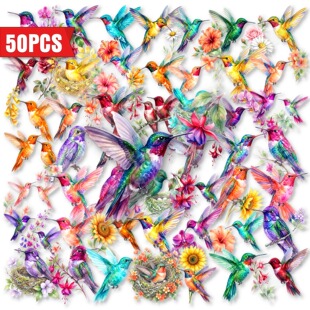 50���羳ֱ��ˮ�ʷ��B�����N͸��PET���»��B���~�Pӛ���b��N��