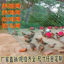 100米家禽养鸡网拦鸡网养殖网菜园网护栏网围山鸡网防鸡网尼龙网