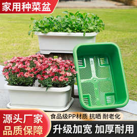 果蔬种菜盆加厚长方形塑料盆家庭阳台蔬菜种植神器大号耐用花盆