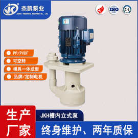 JKH耐空转槽内立式泵 化工电镀酸碱腐蚀液输送泵化工输送泵