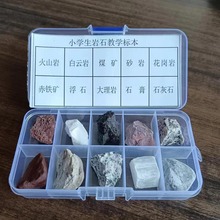 水晶原石矿石标本盒 四年级岩石标本矿物标本 10格小学生教学标本