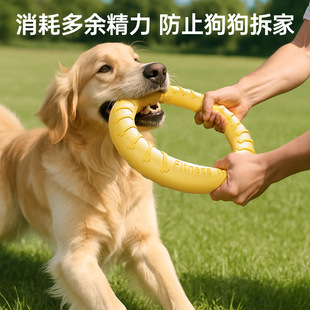 ������ߴ���Ȯ���ӈA�h��ë�����������h����ĥ����ҧ���␞���