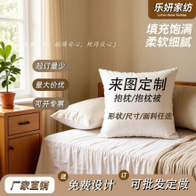 抱枕纤维定制卡通毛绒来图定做靠枕沙发靠垫两用异形diy跨境