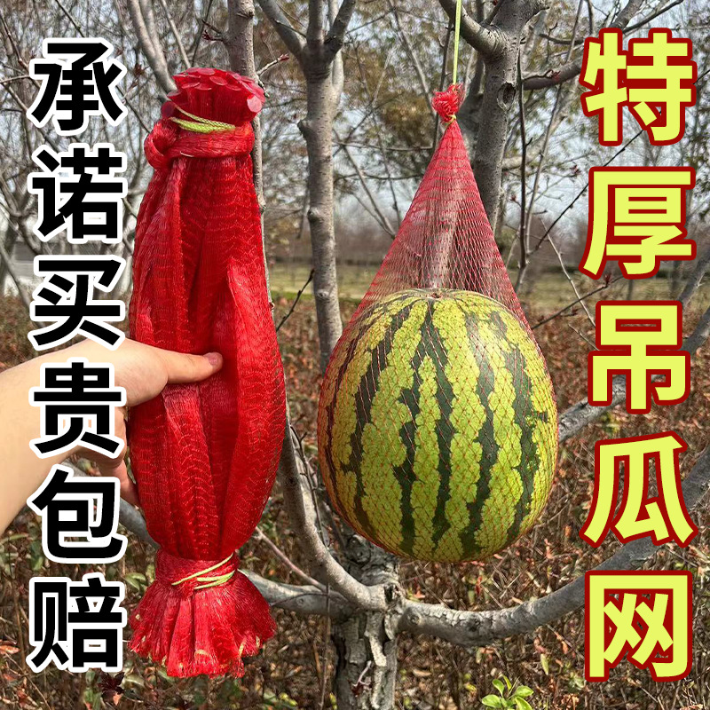特厚大棚吊西瓜网袋吊哈密瓜香瓜南瓜网袋装甲鱼的小网眼袋子批发