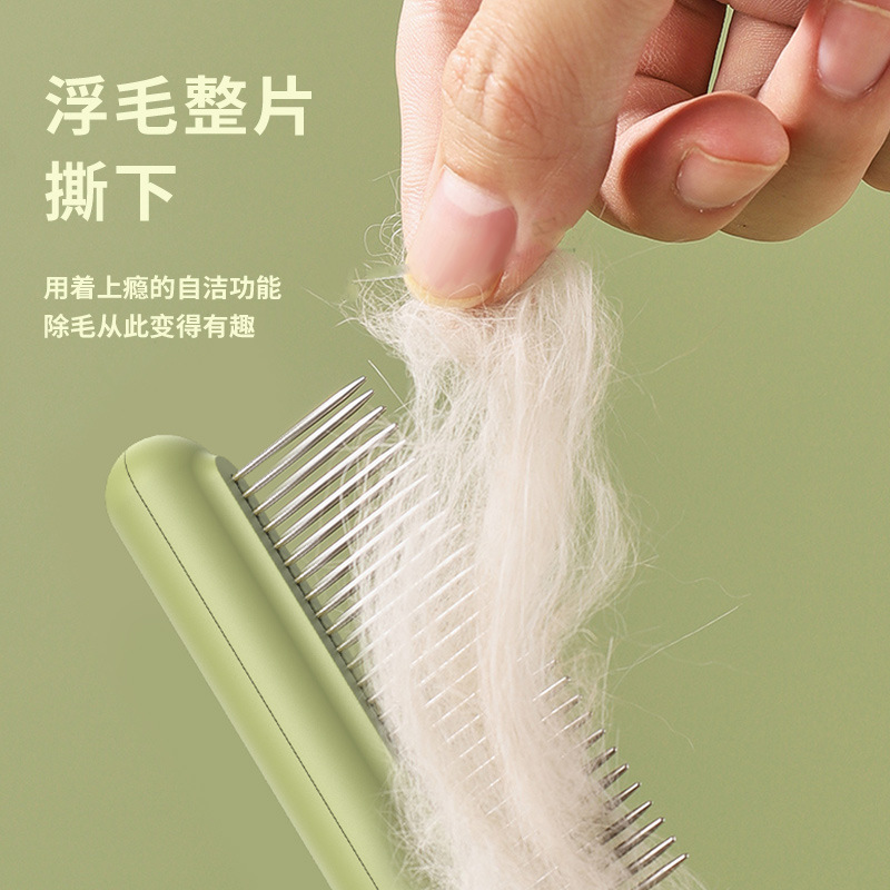 Peinado de gato, peinado de gato, peinado especial, peinado de gato, peinado de gato