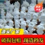 儿童涂鸦彩绘公园娃娃