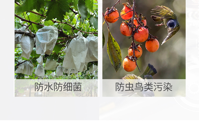 无纺袋详情-4_13