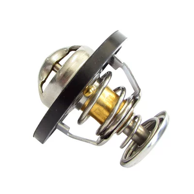 9091603042 90916030, Thermostat