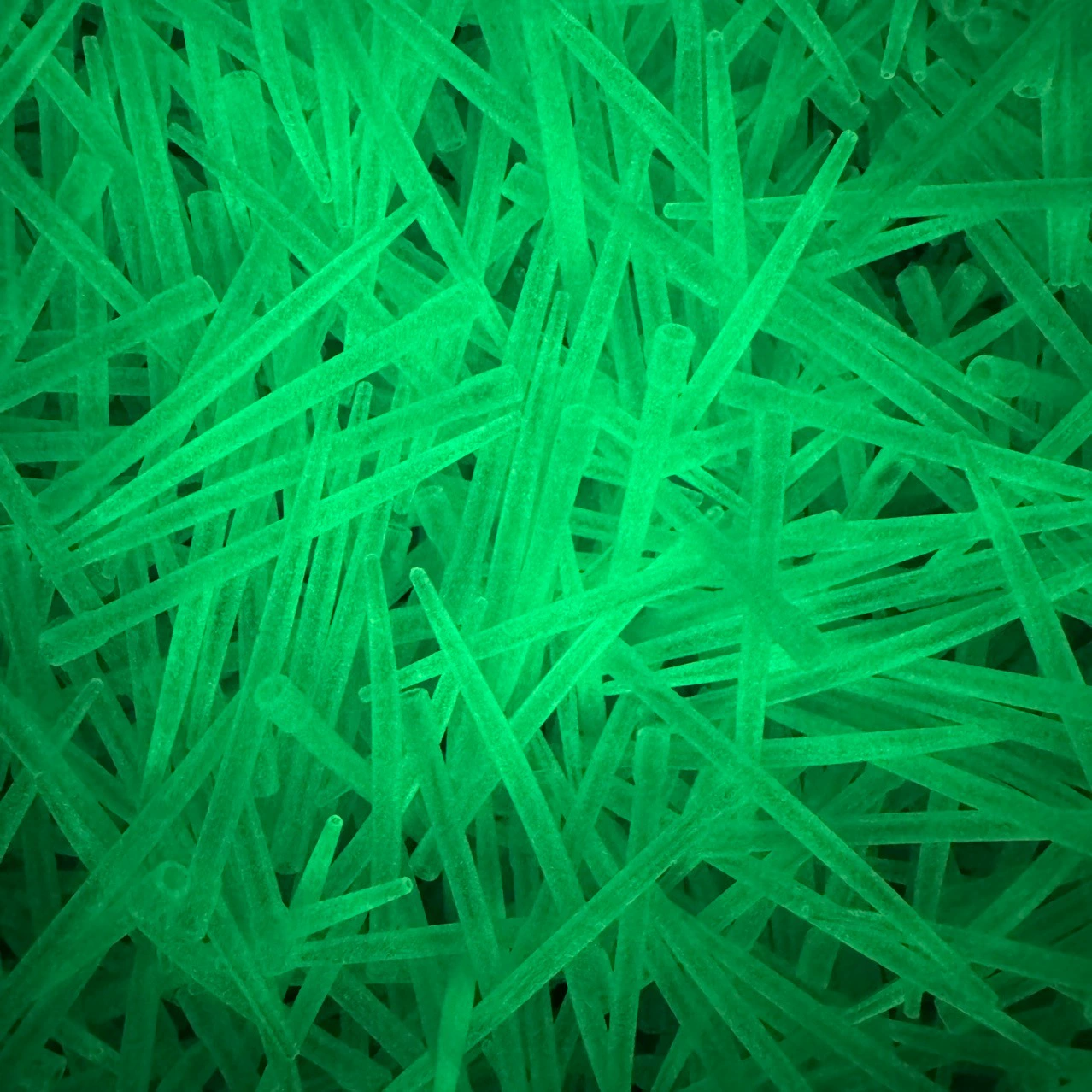 Светящийся европейский карп