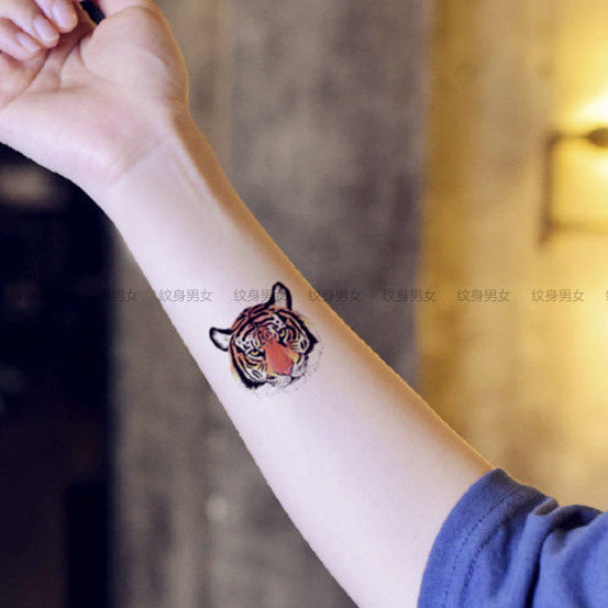 Domineering color tiger head totem tattoo stickers waterproof men and women simulation arm tattoo Tiger year tattoo stickers Domineering color tiger head totem tattoo stickers waterproof men and women simulation arm tattoo Tiger year tattoo stickers