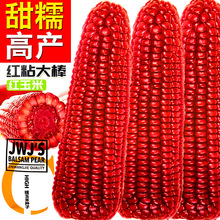 tճŴ׷NѸ߮as׼tŴ׳ˮ׷N