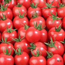 �}Ů��ɳȿ�Fժ���������l���t��¶���߲����rˮ��������ҷ�ǧ��