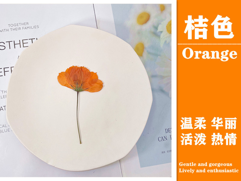 微信图片_20220919171257