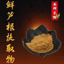鲜芦根提取物水溶性鲜芦根粉药食同源工厂现货可寄样