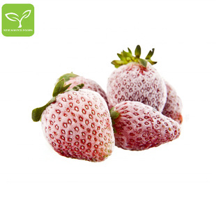 ����ͨԴ ���|�ك���ݮ��/���w/Ƭ A�� ��ӹ� �������l