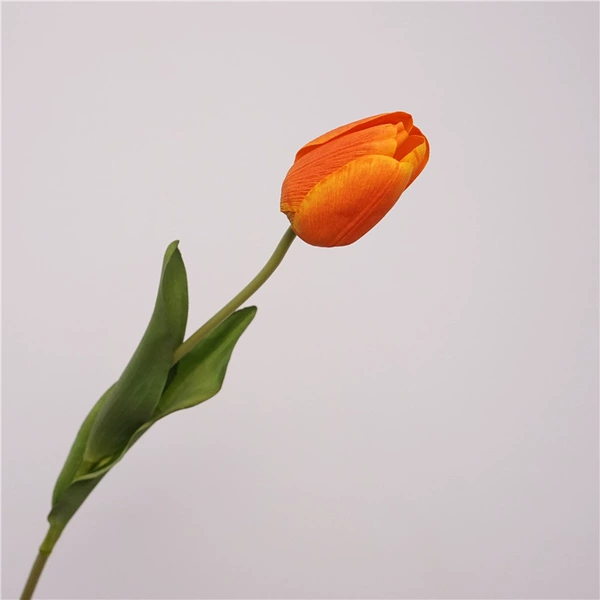 Single branches of Dadujin-Orange