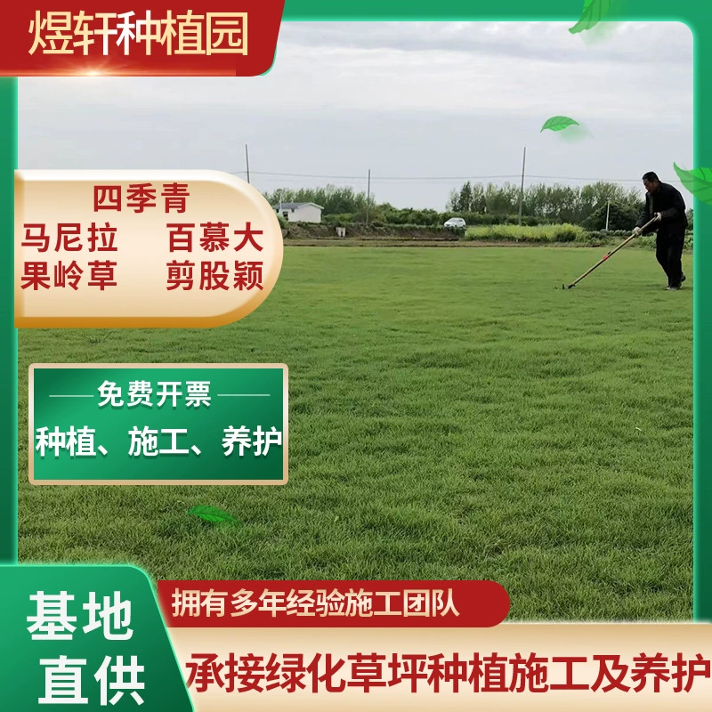 Газон с грязью и травой