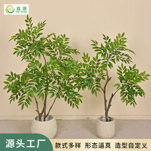 ����Gֲ��䱱�W���s�҃ȼҾӴ������ֲ�������쾰��ľ�b����