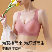 ���һƬʽ���������ļ��޺۱���ʽ�����޸�ȦС�ؾ�£����Ů����