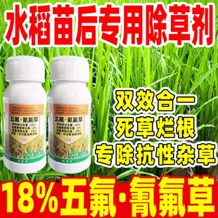 ˮ������ó��݄�18%�������ݻǲݰ������֬����Ʒ�p���帣