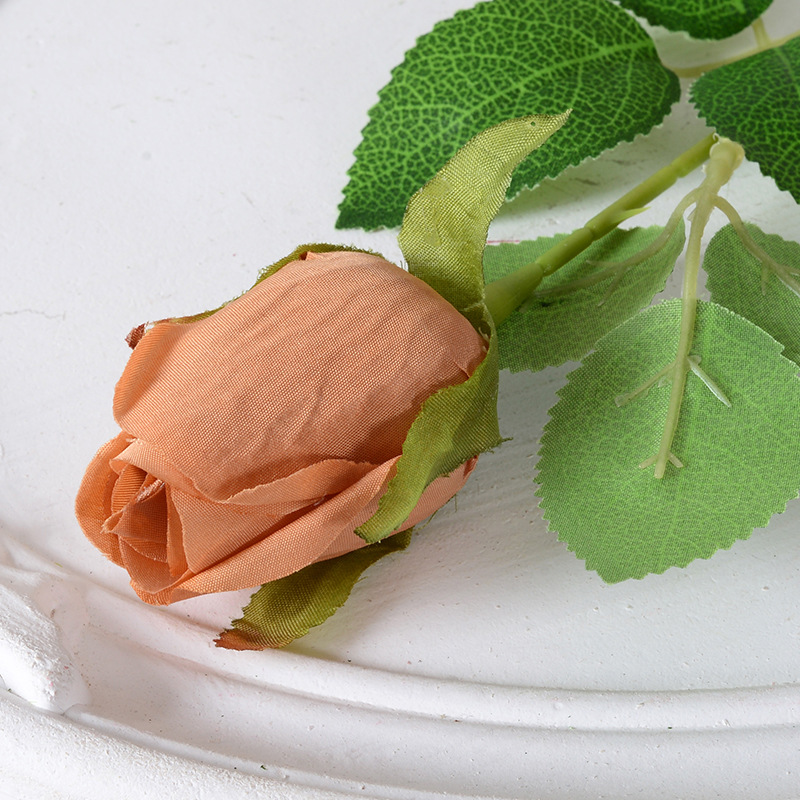Caramel (Rose Bud)