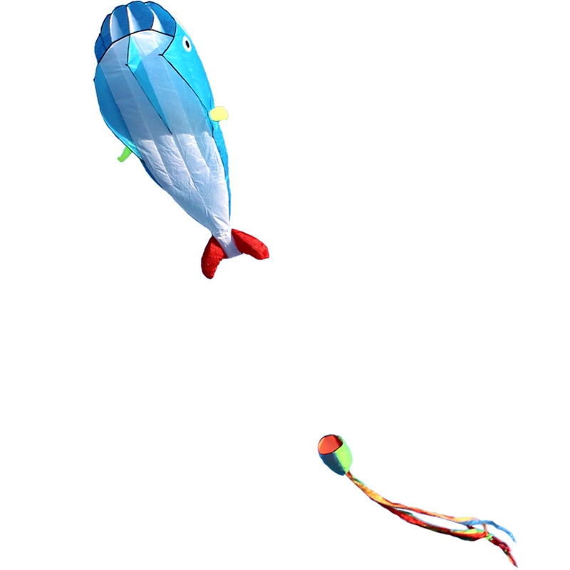 Kite for adults