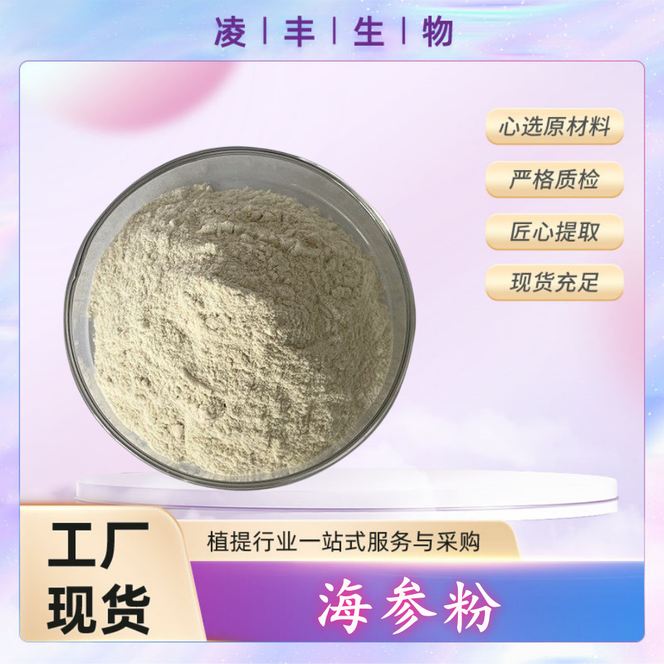 海参肽99%  海参蛋白肽  海参提取物  海参粉  厂家现货供应