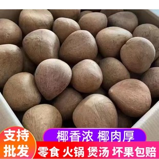 ӡ�Ⱥ�Ҭ��Ҭ�ӻʺ�Ҭ����Ҭ�����u������Ҭ��偵���Ҭ���u����Ƭ