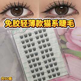 猫系睫睫毛书轻薄款假睫毛不扎眼上眼无负担轻盈分段式上眼
