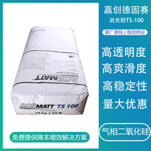赢创德固赛水性TS100 高透明二氧化硅消光剂气相法涂料哑粉消光粉
