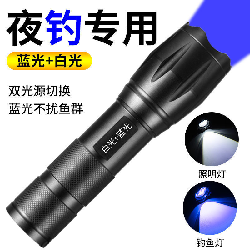 Fotografía Luz de relleno retrato linterna luz del atardecer luz amarilla cálida luz roja Luz verde Luz azul luz colorido fotografía luz del atardecer