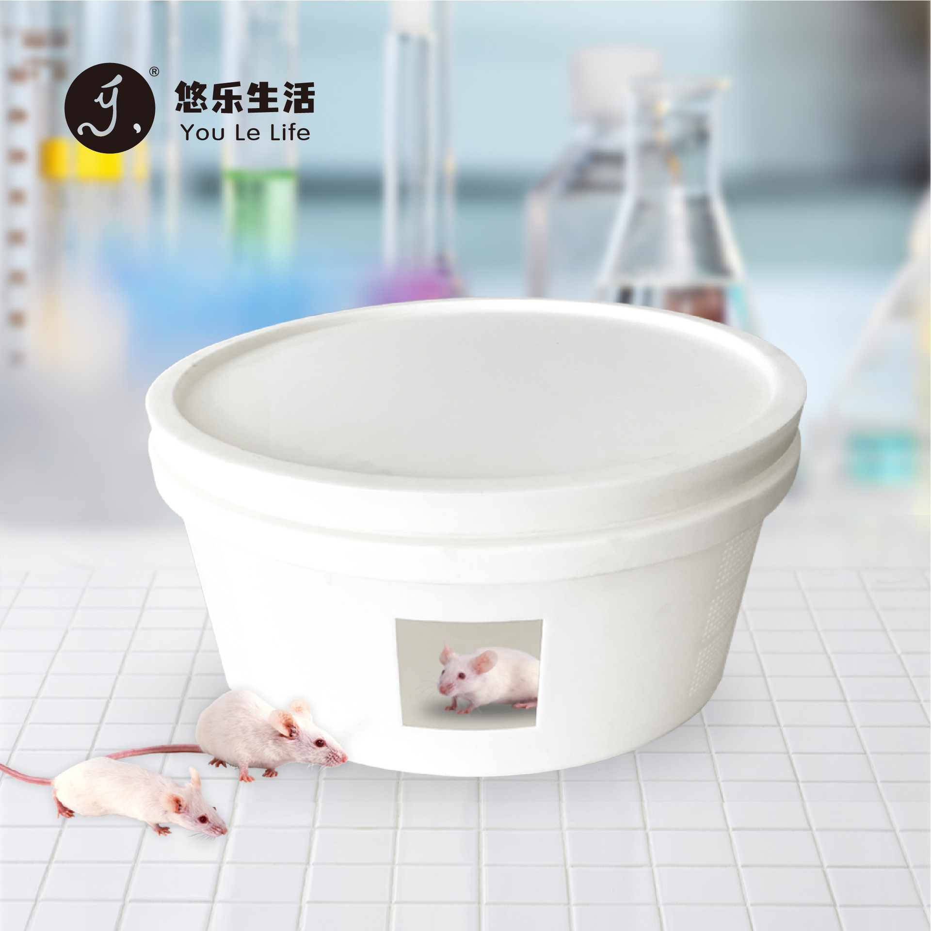 大容量安全干净塑料活体运输盒带观察窗适用于小白鼠豚鼠兔子