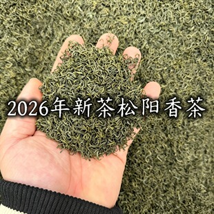 2026���²� ��ǰ��ɽ��F�G�� ������������ݏS��ֱ�N���lɢ�b