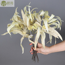 ����ֲ�����l��5֦�������ȼ����~������~�辰���ԔzӰ���߬F؛