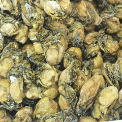 台山生干しカキの卸売りは油を吸わないでください。