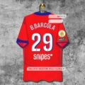 2526psg erke no. 29 + ligue 1