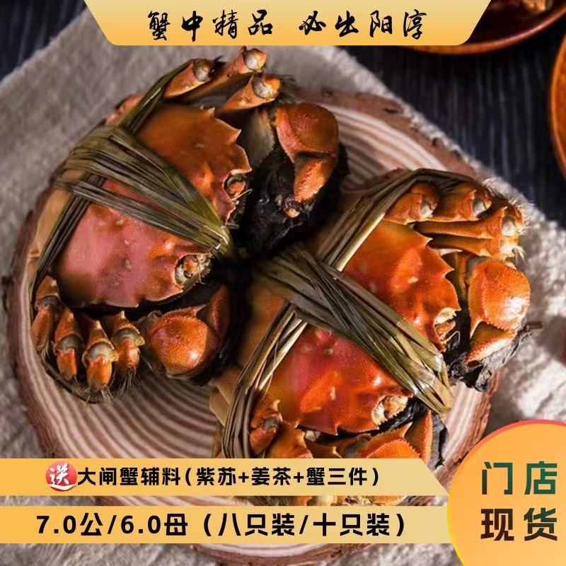 阳淳牌大闸蟹7.0公/6.0母礼盒装四对八只/五对十只装全国发货