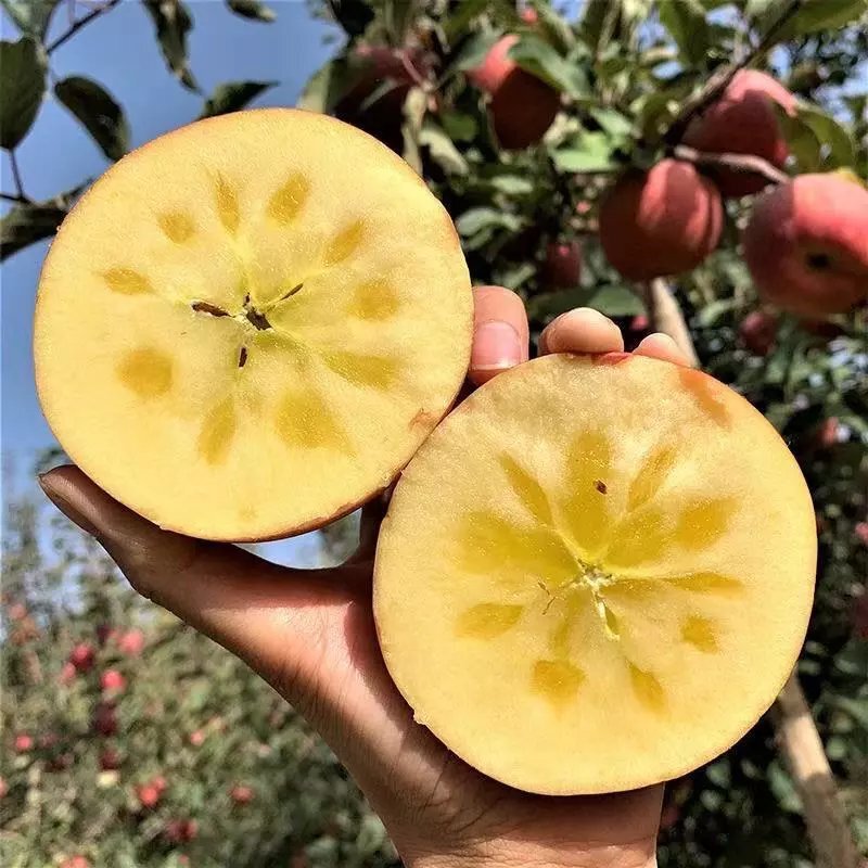 2026 Aksu Apples Fresh Xinjiang Sugar Heart Apples Red Fuji Fruit Seasonal Whole Box Free Shipping