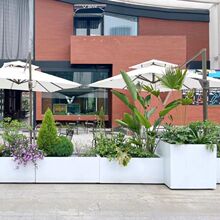 ¿ˮ໨ɫմɴ̖LRۺsW̨N˻V