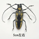 other product image