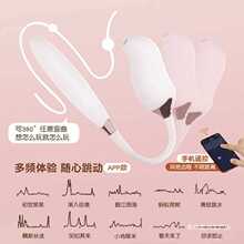 成人用品玩具女性自慰器远程遥控跳蛋振吸秒失控鸟AI款MZ