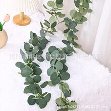 �羳���Lins�A�~�ȼ������滨�ٗl�Ɍ������b�Ʒ��@�b�Ʒ