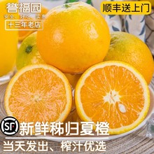 秭归夏橙脐橙新鲜橙子大果榨汁专用当季整箱甜橙10斤水果1
